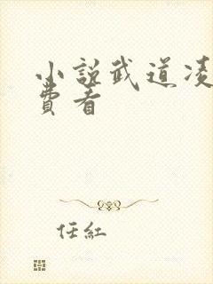 小说武道凌天免费看封面