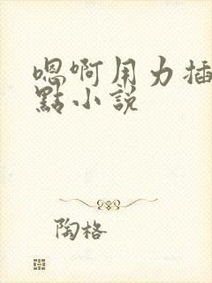 嗯啊用力插深一点小说封面