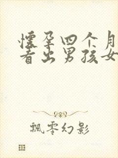 怀孕四个月可以看出男孩女孩吗封面