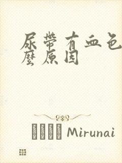 尿带有血色是什么原因封面