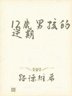 12岁男孩的叛逆期