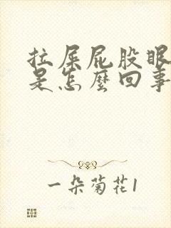 拉屎屁股眼有血是怎么回事