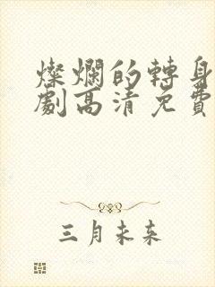 灿烂的转身电视剧高清免费观看