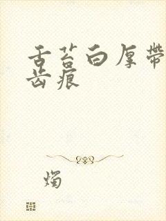 舌苔白厚带腻有齿痕