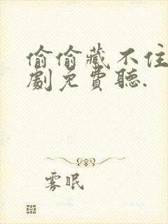 偷偷藏不住广播剧免费听.