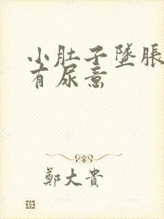 小肚子坠胀感觉有尿意