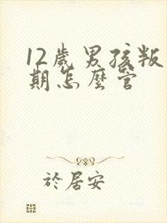 12岁男孩叛逆期怎么管