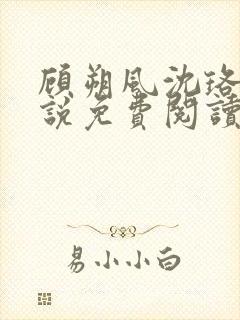 顾朔风沈珞舒小说免费阅读最新章节