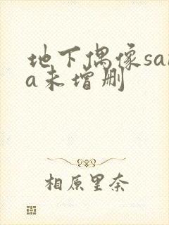 地下偶像sana未增删