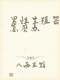 男性生殖器弯的怎么办