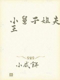 小舅子姐夫双男主