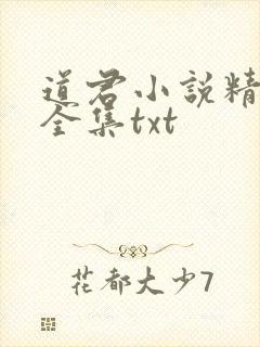 道君小说精校版全集txt