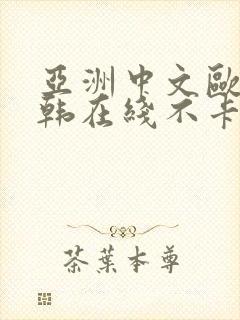 亚洲中文欧美日韩在线不卡