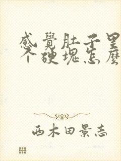 感觉肚子里有一个硬块怎么回事封面