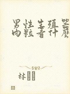 男性生殖器起小肉粒看什么科