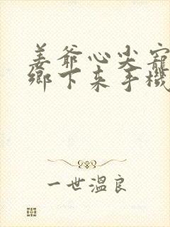 姜爷心尖宠她从乡下来手机版封面