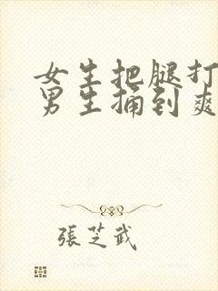 女生把腿打开让男生捅到爽