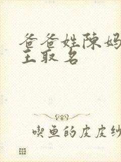 爸爸姓陈妈妈姓王取名封面