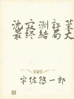 沈寂洲许茉孟姣最终结局大结局