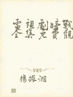 电视剧暗战风云全集免费观看