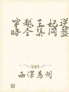 穿越王妃逆袭攻略全集网盘