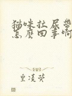 猫咪拉尿带血是怎么回事啊封面