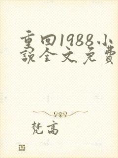 重回1988小说全文免费阅读