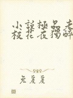 小说极品老师俏校花夜独醉