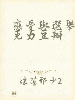 恋爱与选举与巧克力豆瓣