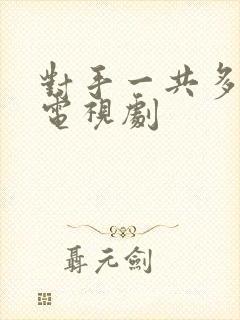 对手一共多少集电视剧