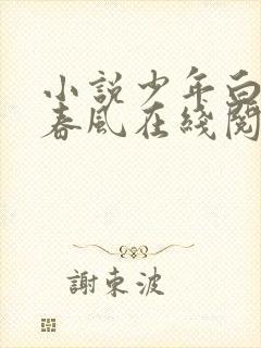 小说少年白马醉春风在线阅读