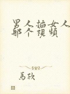 男人插女人下面那个视频