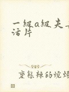 一级a级夫妻生活片