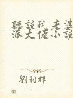 听说我老婆是反派大佬小说封面