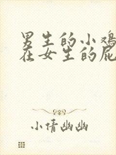 男生的小鸡鸡插在女生的屁股里