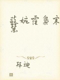 苏婉霍枭寒苏晓慧