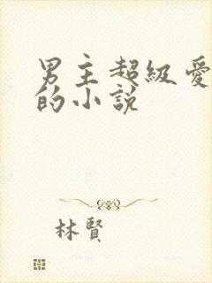 男主超级爱女主的小说