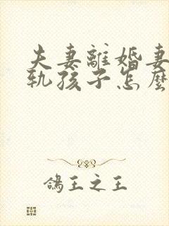 夫妻离婚妻子出轨孩子怎么判