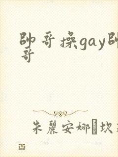 帅哥操gay帅哥