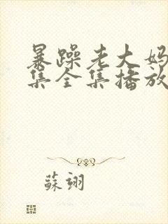 暴躁老大妈46集全集播放