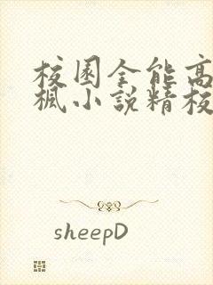 校园全能高手季枫小说精校版全集txt封面