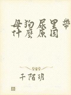 母狗尿里带血是什么原因