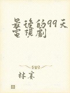 最后的99天 电视剧封面