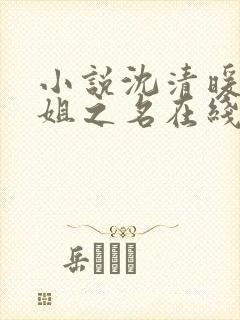 小说沈清暖以姐姐之名在线阅读