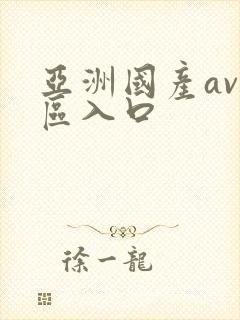 亚洲国产av一区入口