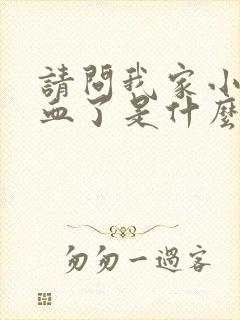 请问我家小狗尿血了是什么原因呀