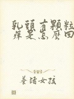 乳头有颗粒状又痒是怎么回事