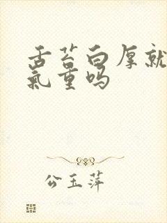 舌苔白厚就是湿气重吗