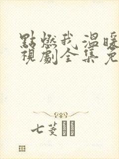 点燃我温暖你电视剧全集免费观看软件