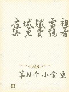 夜城赋电视剧全集免费观看封面